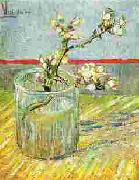 Vincent Van Gogh Blooming Almond Stem in a Glass Norge oil painting reproduction